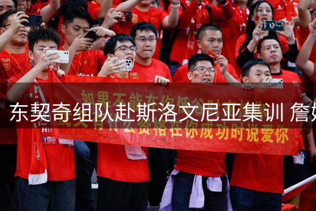 东契奇组队赴斯洛文尼亚集训 詹姆斯缺席布朗尼随行