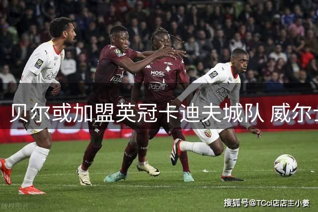 贝尔或加盟英冠卡迪夫城队 威尔士主帅:这有意义