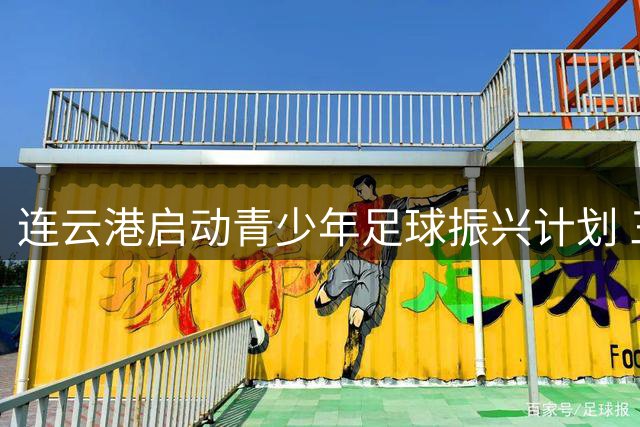 连云港启动青少年足球振兴计划 三年内建成百片球场